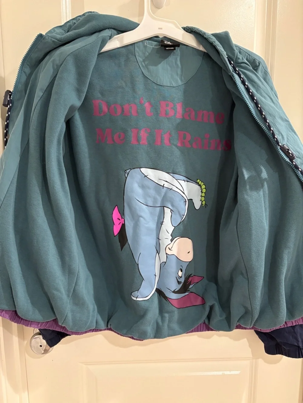 Euc Disney Eeyore Colorblock Hooded Windbreaker Jacket Teal Purple Size S